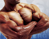 Anabolic Nutrition