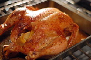 chicken