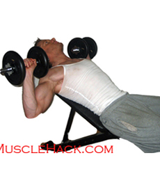 Bench Press Mark