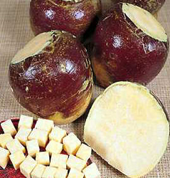 swede rutabaga
