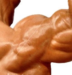 dumbbell shoulder press