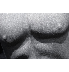 build muscle & lose fat