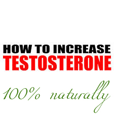 Best way to build testosterone
