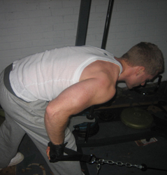 big triceps
