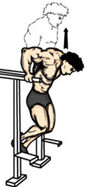 how to do weighted dips1