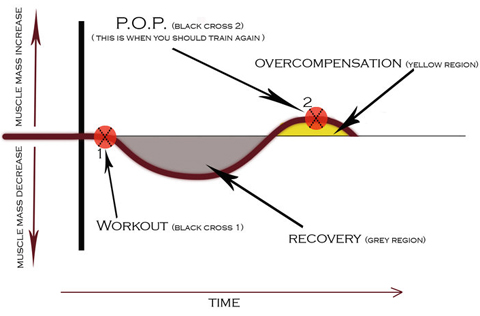 POPdiagram