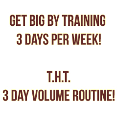 3 day workout routine