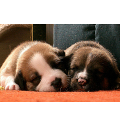 Does this make you sleepy? Does for me ;)