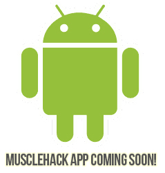 Android logo